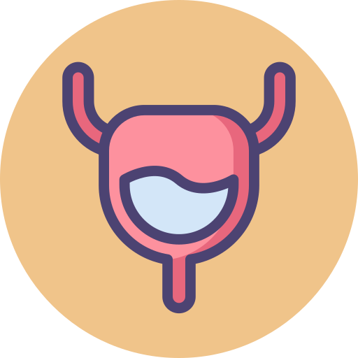 Best Bladder Stone Treatment In Jaipur