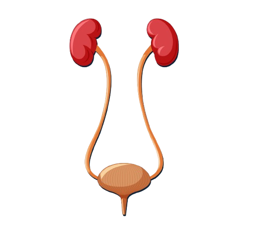 Best-UTI-Treatment-in-jaipur